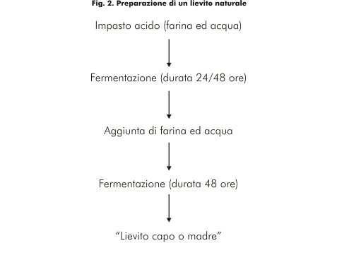 Preparazione di un lievito naturale