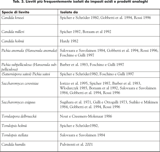 Lieviti più frequentemente isolati da impasti acidi o prodotti analoghi