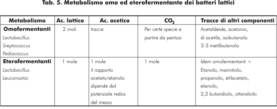 Metabolismo omo ed eterofermentante dei batteri lattici