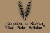 Consorzio di Ricerca, Gian Pietro Ballatore