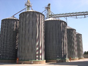 Risultati analitici monitoraggio qualitativo del grano duro in Sicilia al 6 luglio 2010