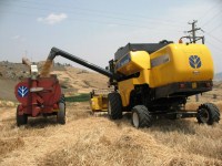 Risultati analitici monitoraggio qualitativo del grano duro in Sicilia al 27 06 2011