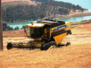 Risultati analitici monitoraggio qualitativo del grano duro in Sicilia al 04 07 2011