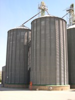 Risultati analitici monitoraggio qualitativo del grano duro in Sicilia al 18 07 2011