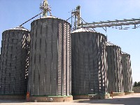 Un progetto per la valorizzazione delle produzioni di grano duro siciliane: dallo stoccaggio differenziato alla certificazione del sistema