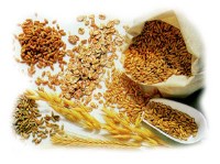 Avviso finalizzato alla formazione di elenchi da utilizzare per 
l’eventuale conferimento di incarichi nell’ambito del progetto
“Indagini Territoriali per lo studio dei derivati dei cereali”. 
