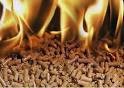 Invito per presentazione di offerta per prove di combustione di pellet ottenuto da paglie di Brassica spp. Progetto “Valorizzazione Biomolecolare ed Energetica di biomasse residuali del settore Agroindustriale ed Ittico - BIO4BIO”  – CUP B61C12000910005.