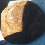Pane di semola di grano duro ( Matera )