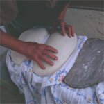Pane con le noci ( Avellino )