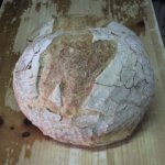 Pane contadino ( S.Elia a Pianisi )